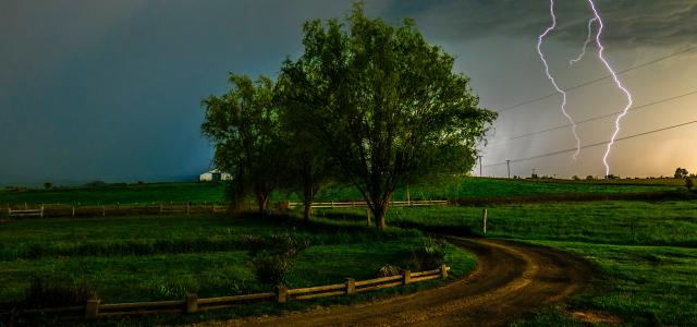 green-leafed trees and green grass field by Master Wen courtesy of Unsplash.